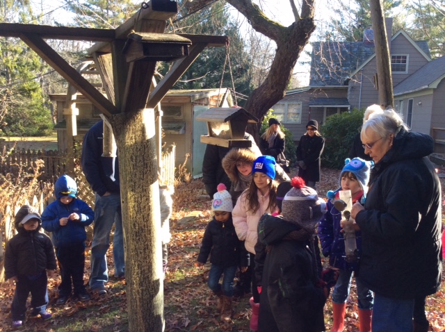 Bird Feeder Fun