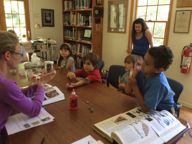 The Who, What and Why about Owls