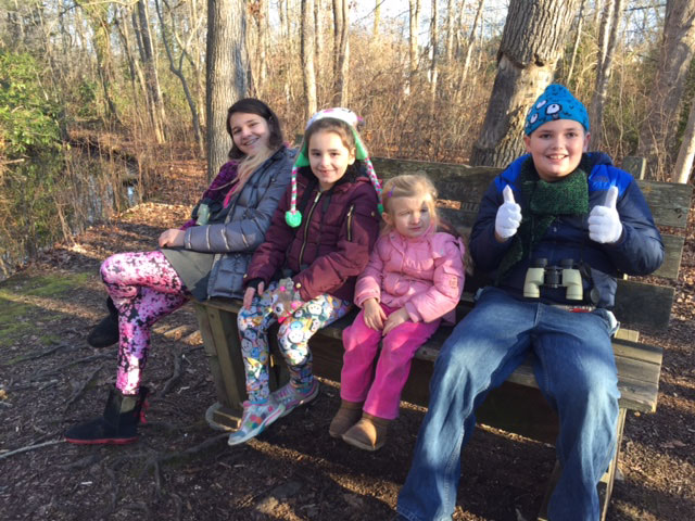 Hidden Treasures of the Winter Woods