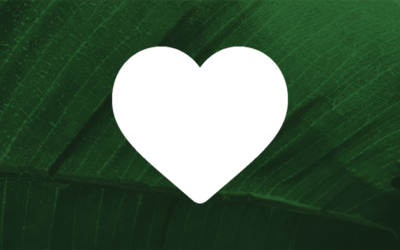 The Heart of the Matter