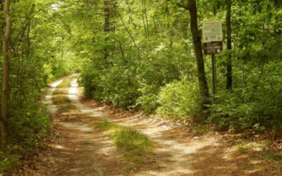 RECAP: Brookside Clean-Up