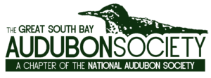 Audubon logo Retouched FINAL