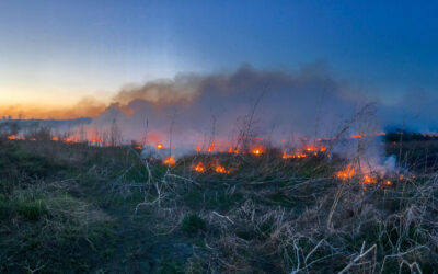 Climate Change and Wildfires