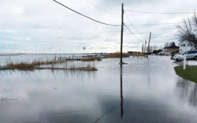 Restoring Mastic Beach: A Coastal Resilience Project