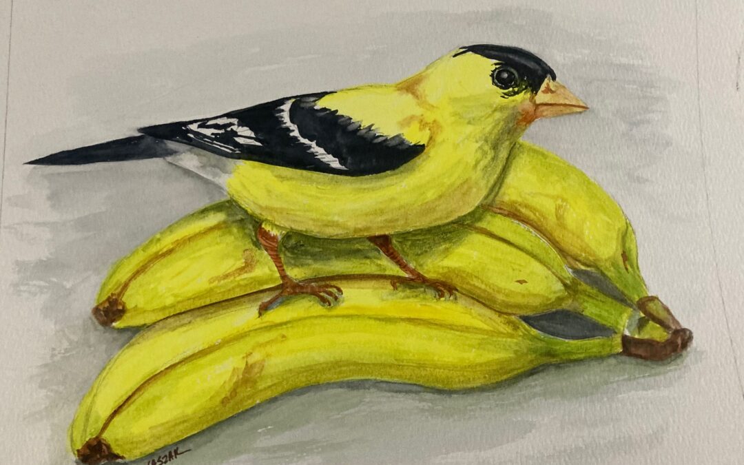 The Times They Are A-Changin’