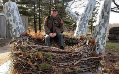 Bald Eagles are Raising Their Young in Nests The Size of Hot Tubs