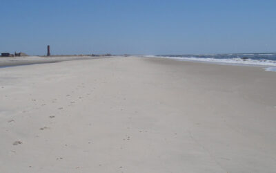 Field Trip to West End Jones Beach Recap