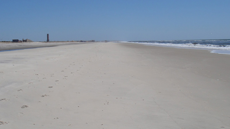 Field Trip to West End Jones Beach Recap