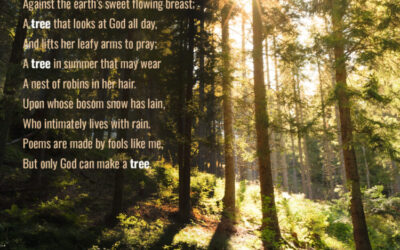 Trees