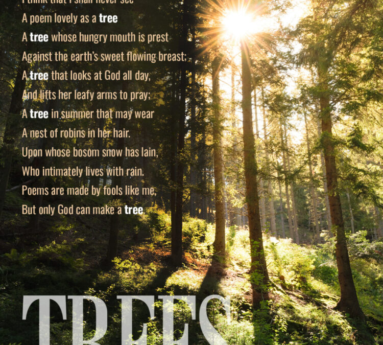 Trees