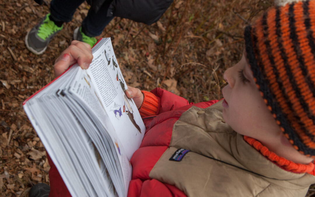 How Birdwatching Can Help Kids Learning About Math