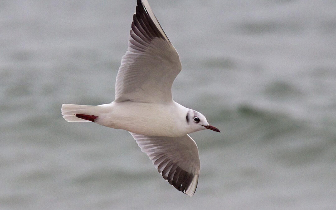 Montauk Field Trip Recap