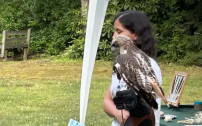 Brookside County Park Outdoor Presentation was a Huge Success