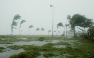 Surviving A Category 5 Hurricane