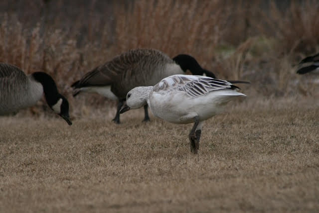 The Only Constant is Change