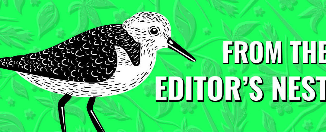 June 2025 From the Editor’s Desk