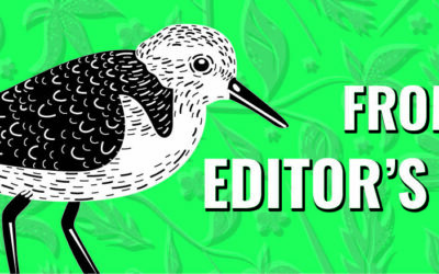 June 2025 From the Editor’s Desk