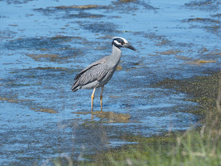 Oceanside Marine Nature Study Area Walk