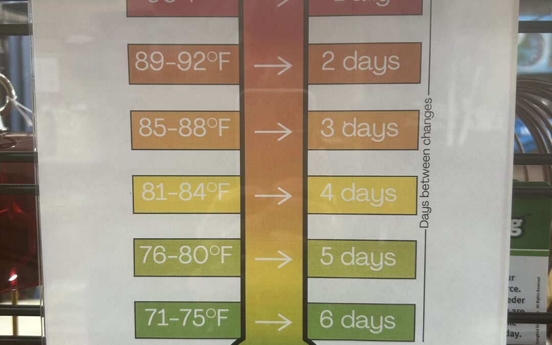 A Little Birdie Told Me…Q & A with Brooke Ramirez