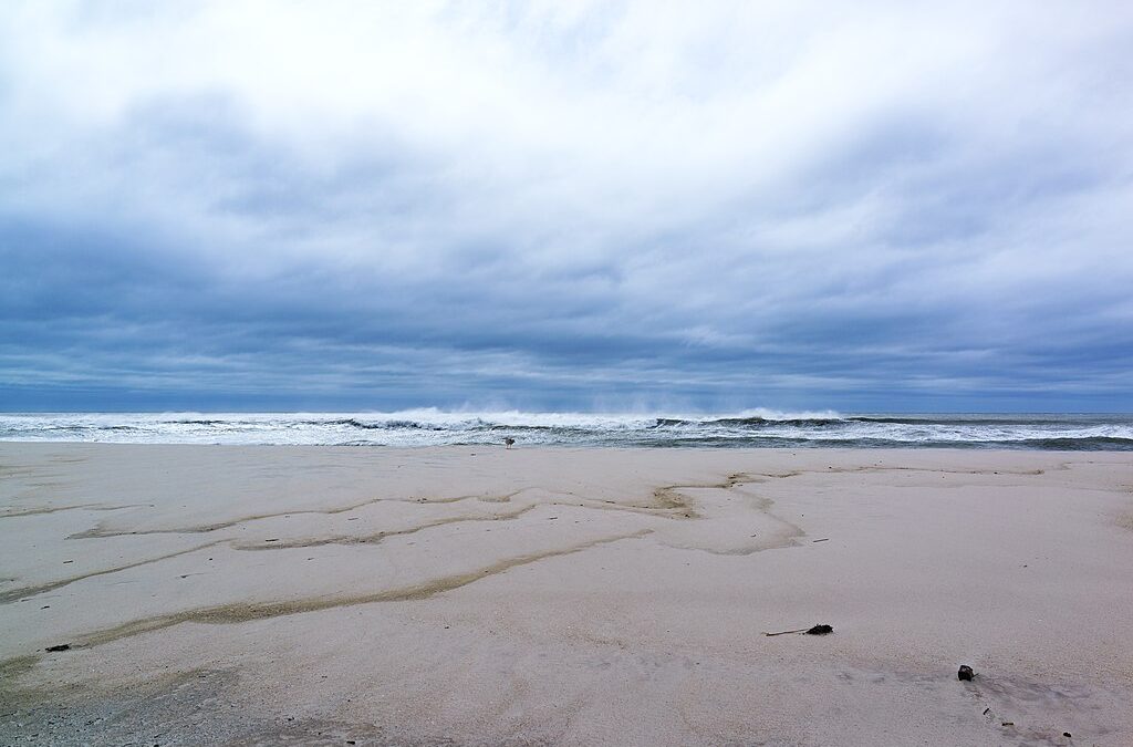 Parks and Trails on Long Island – Sept/Oct 2025