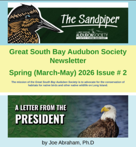 Sandpiper32026