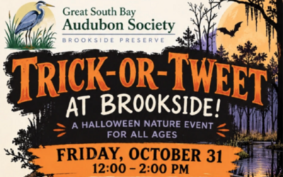 Trick-or-Tweet